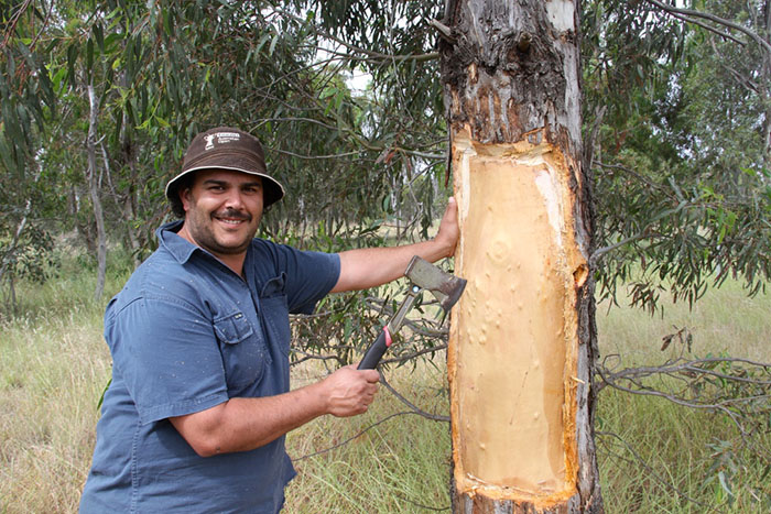 Daniel Clarke with scar tree