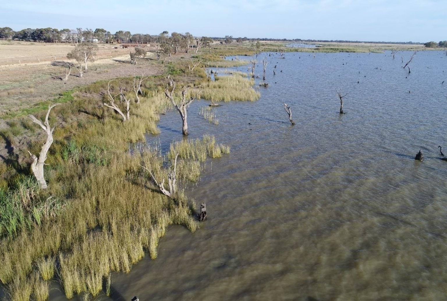 Ghow Swamp Aboriginal Place