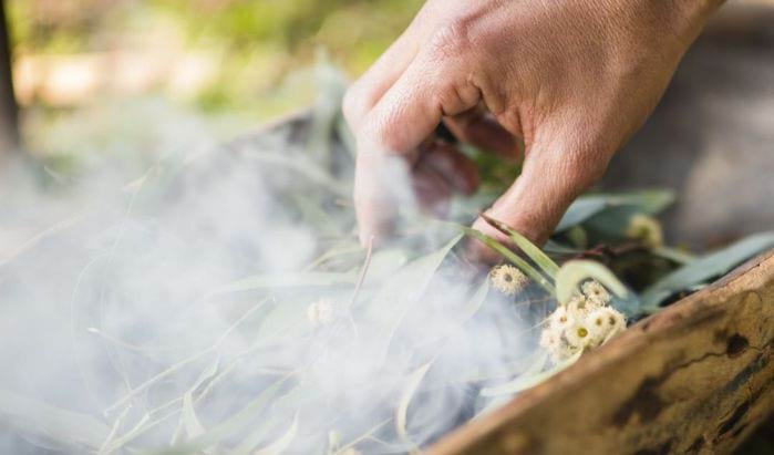 a hand moves eucalypt leaves and blossoms around in a wooden bowl as part of a smoking ceremony