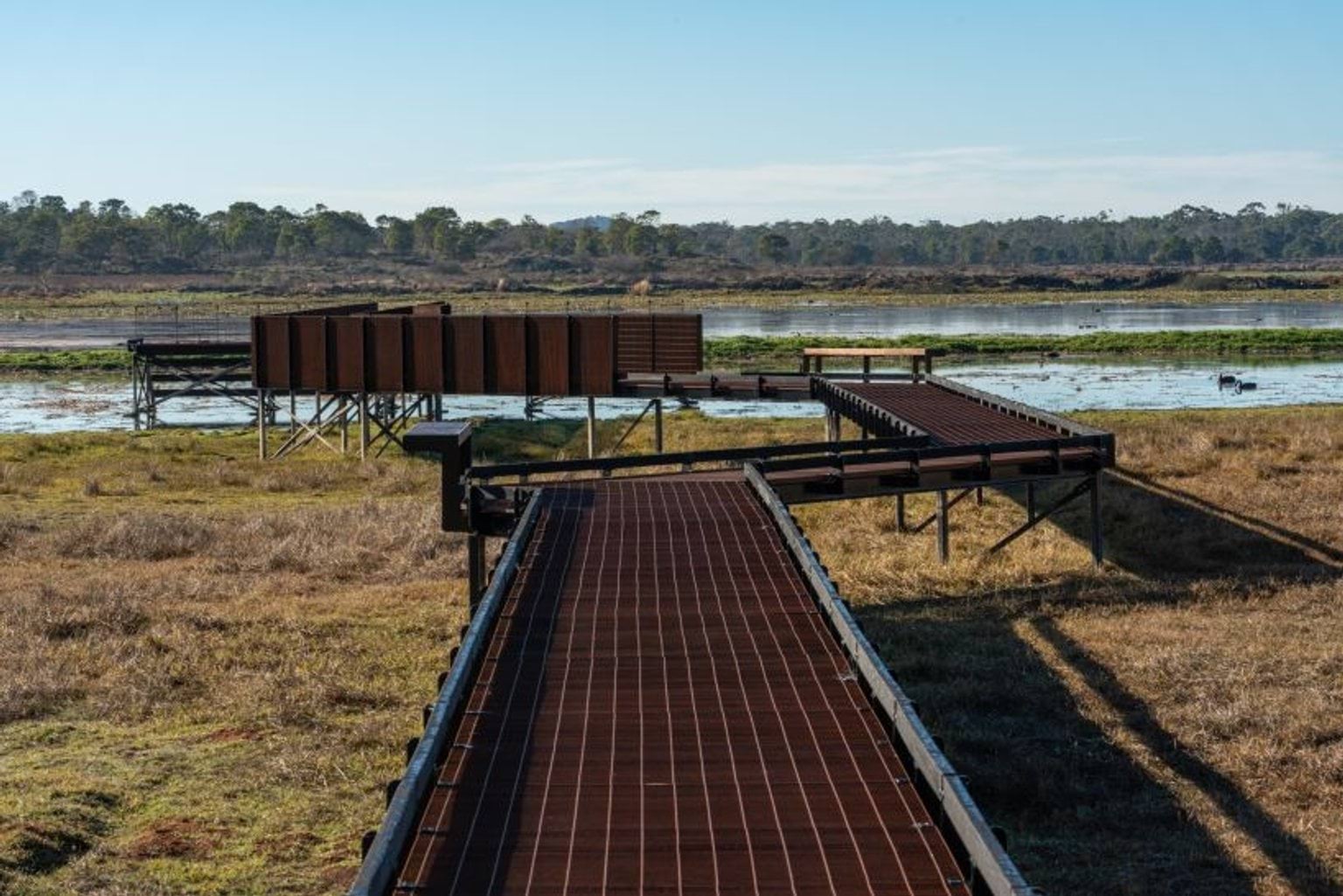 Tae Rak (Lake Condah) cultural walk, showing wooden boardwalk out to surrounding wetlands.